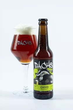 Dachs Chivo Heller Bock 0,33l